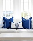 Verdra Leaf Striped, Indoor/Outdoor Baby Blue Striped Pillow Cover, with Piping, 22"x22"