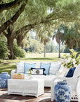 Verdra Leaf Striped, Indoor/Outdoor Baby Blue Striped Pillow Cover, with Piping, 22"x22"