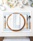 Coastal Indoor Outdoor Embroidered Napkin Set of 4, Begonia Pattern Chain Frame, Baby Blue, 20"x20"