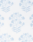 Capelea Flowers, Blue And White Outdoor Fabric By The Yard 57", Baby Blue