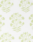 Capelea Flowers, Green Outdoor Fabric By The Yard 57", Green