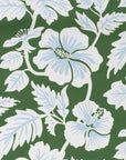 Hanakai Hisbucs, Indoor Outdoor Upholstery Fabric By The Yard 57", Green
