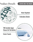 Ruilin Double Happiness, Indoor/Outdoor Green Baby Blue Pillow Cover, with Tassels, 20"x20"