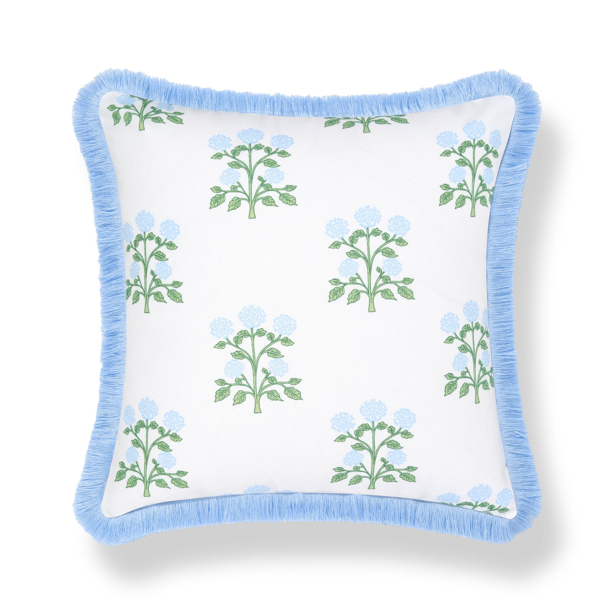 Barbelle, Indoor/Outdoor Baby Blue Green Throw Pillow Cover, with Fringe, 20"x20"