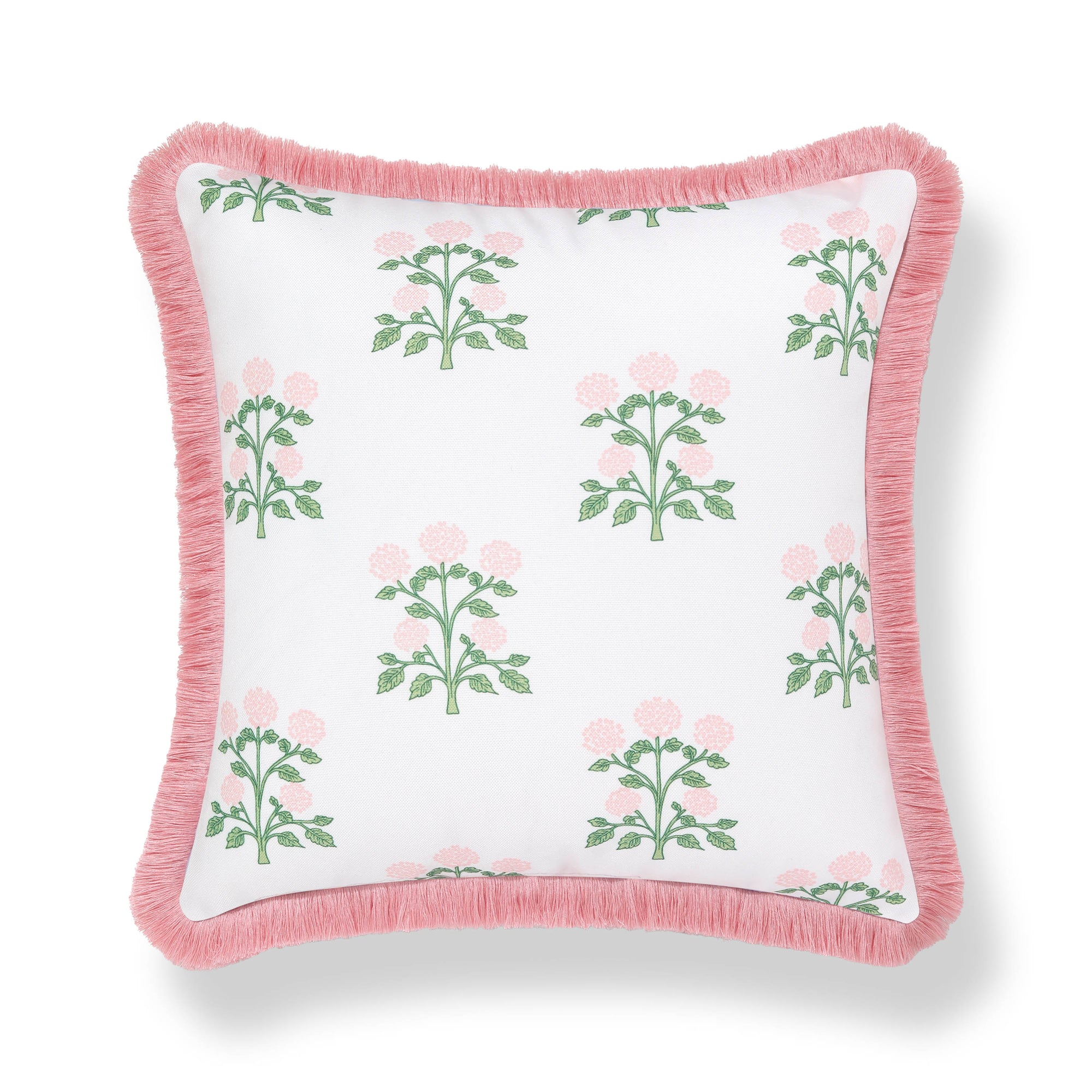 Barbelle, Indoor/Outdoor Blush Pink Green Decorative Pillow Cover, with Fringe, 20"x20"