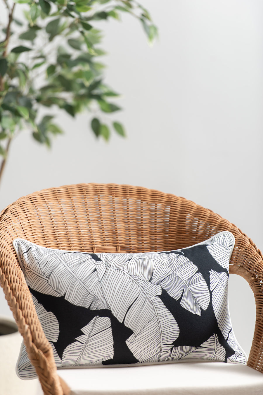 black and white pillow covers