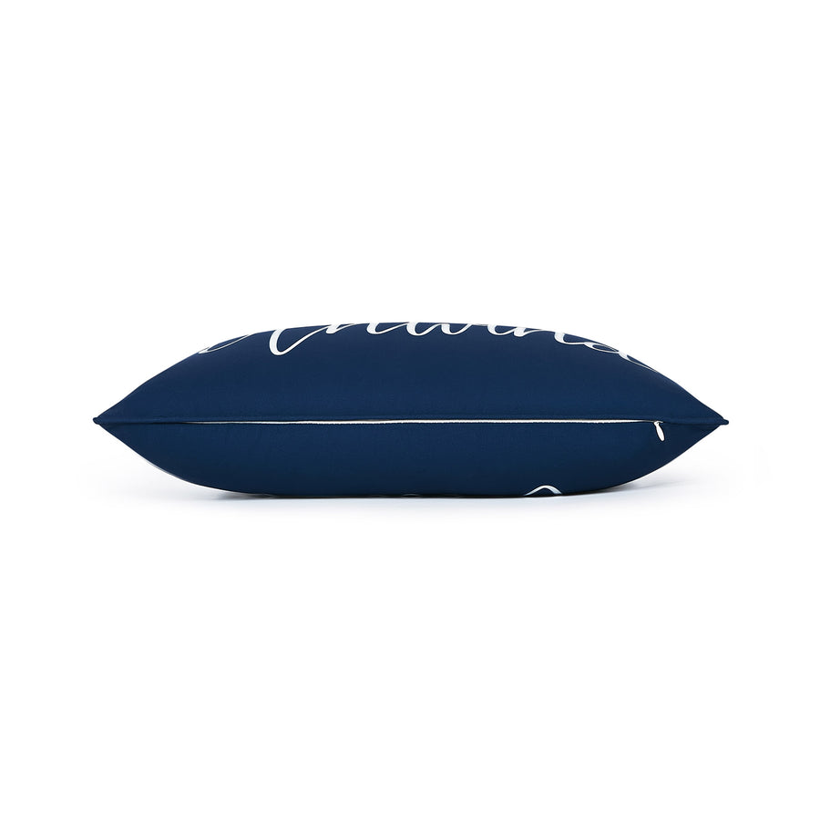 coastal pillows for couch